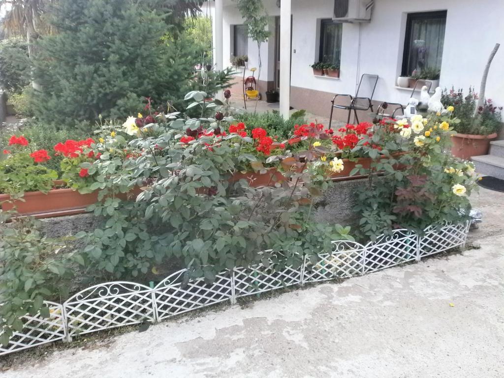 Villa Ana Međugorje Exterior foto